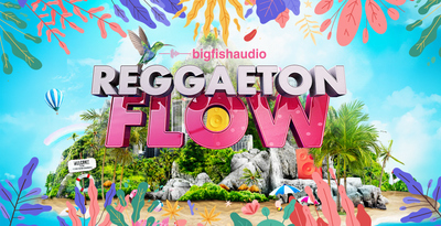 Big Fish Audio Reggaeton Flow