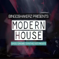 Bingoshakerz Modern House