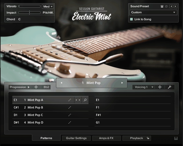 NI Session Guitarist Electric Mint