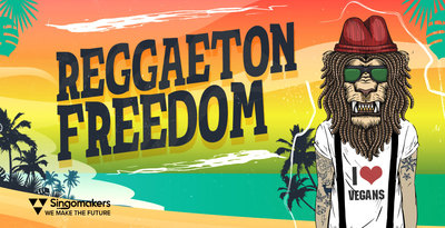 Singomakers Reggaeton Freedom