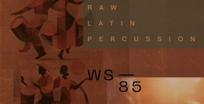 Wavetick Raw Latin Percussion