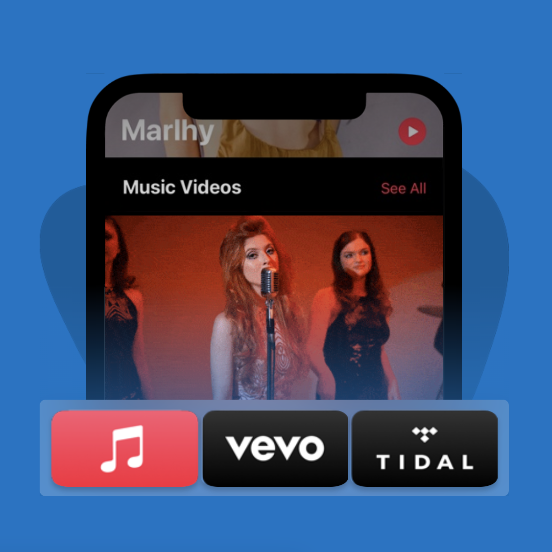 DistroVid music video distribution by DistroKid